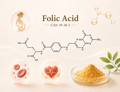 Premium Folic Acid B9 Powder