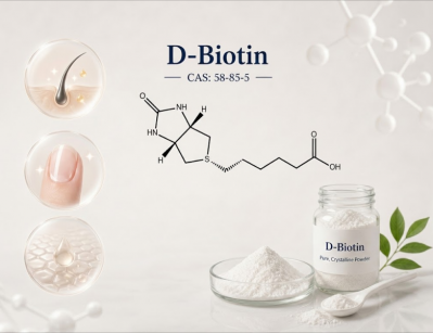 High Purity Biotin Vitamin B7 Powder