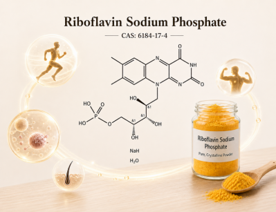 Food Grade Vitamin B2 Sodium Phosphate
