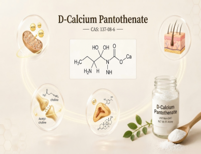 Food Grade High Purity D-Calcium Pantothenate Vitamin B5 Raw Powder for Dietary Supplement