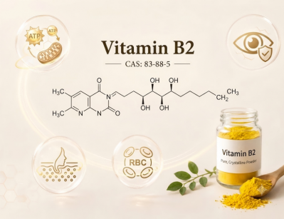 Food Grade High Purity D-Calcium Pantothenate Vitamin B5 Raw Powder for Dietary Supplement