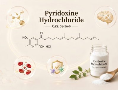 High Purity Food Grade Pyridoxine Hydrochloride Vitamin B6 Raw Powder for Supplement