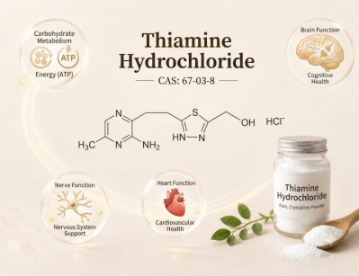High Purity Food Grade Thiamine Hydrochloride Vitamin B1 Powder for Dietary Supplement