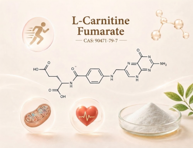 Food Grade L-Carnitine Fumarate Powder, Raw Material for Sports Dietary Supplement