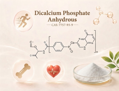 Food Grade Dicalcium Phosphate Anhydrous Powder, Mineral Raw Material for Supplement Fortification