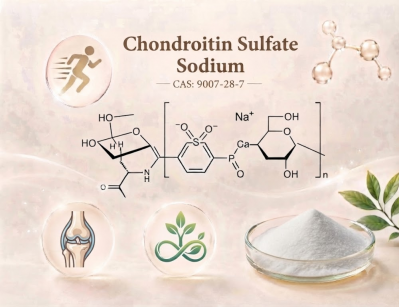 Chondroitin Sulfate Sodium Powder, Raw Material for Joint Health Dietary Supplements