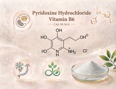 Food Grade Pyridoxine Hydrochloride Vitamin B6 Powder for Dietary Supplement Raw Material