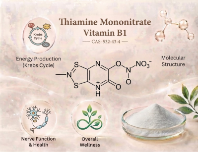 Food Grade Thiamine Mononitrate Vitamin B1 Powder for Dietary Supplement Raw Material
