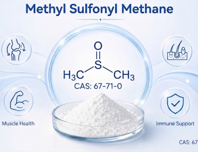 High purity Methyl Sulfonyl Methane MSM powder, joint health nutraceutical raw material for dietary supplement